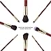 MiroPure 8-Piece Kabuki Makeup Brush Set with Ear Pick and Acne Needle (Golden Carmine / Black)