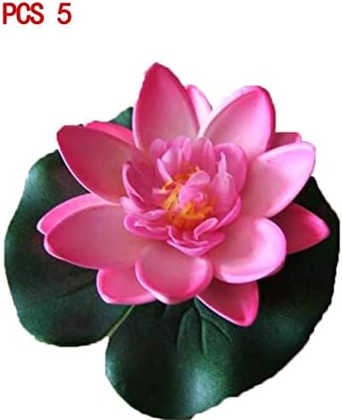 cioler Rare Lotus Seeds Bonsai Planting Flower Home Office Garden Decor Flowers