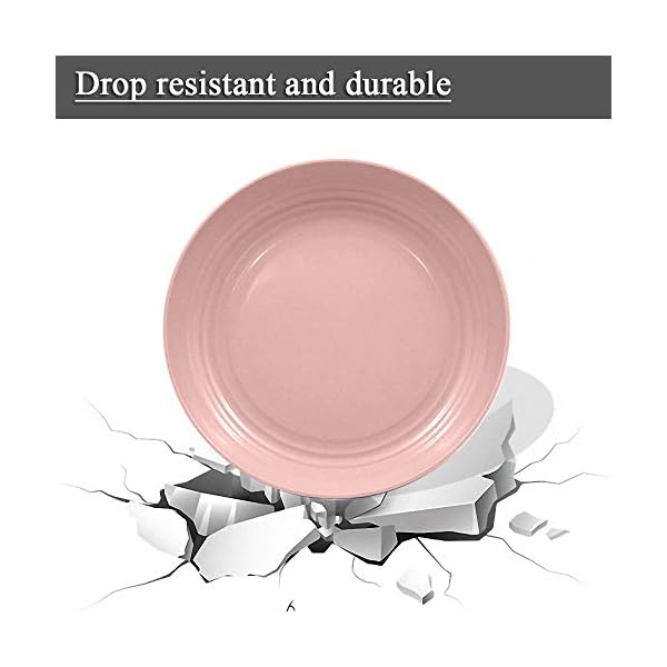 24Pieces Wheat Straw Dinnerware Set, Lightweight Plates Bowls Cups Dishes Set, Unbreakable Tableware Set for Picnic Party BBQ Camping (24pcs)