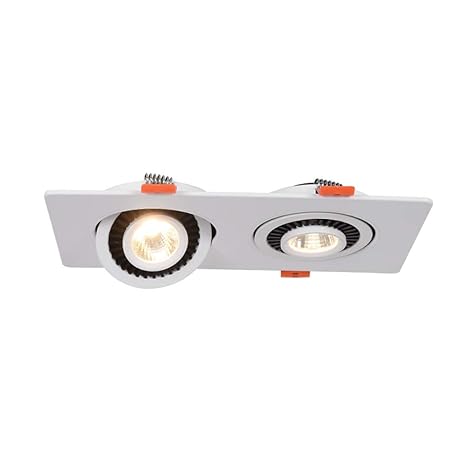 Shaoyh Nordic Adjustable 360 Angle Downlight Double Head
