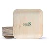 ORGA-ECO-FRIENDLY-PRODUCTS-Palmware-leaf-tableware-I-25-pieces-Palm-Plate-rectangular-25-x-25-cm-I-Bio-Disposable-Crockery-Biodegradable-Party-tableware-disposable-tableware-10-inch-No-of-25-Plates ORGA ECO-FRIENDLY Products Palmware Leaf Tableware I 25 Pieces Palm Plates Rectangular 25 x 25 cm I Bio Disposable…