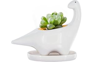 GeLive White Dinosaur Ceramic Succulent Planter Flower Plant Pot Window Box with Saucer Cartoon Animal Decor, 5 Inch, Indoor Outdoor