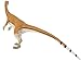 Safari Ltd. Coelophysis Figurine - Detailed 7.25