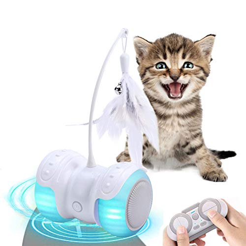 remote control ball for cats
