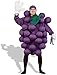 Peter Alan Inc - Purple Grapes Adult Costume