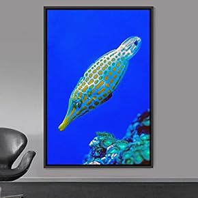 signwin Framed Canvas Wall Art Fish Bedroom Colorful...