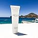 50 Bulk Pack - Fig & Olive Luxury Body Lotion By C'EST LA VIE - 22ml / 0.75 fl oz - Travel Guest & Hotel Amenities - Individual Clean White Tubes in Eco Responsible Packaging. Paraben & Cruelty Free 