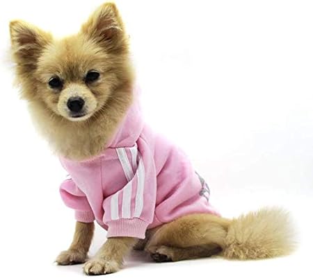cute puppy outfits