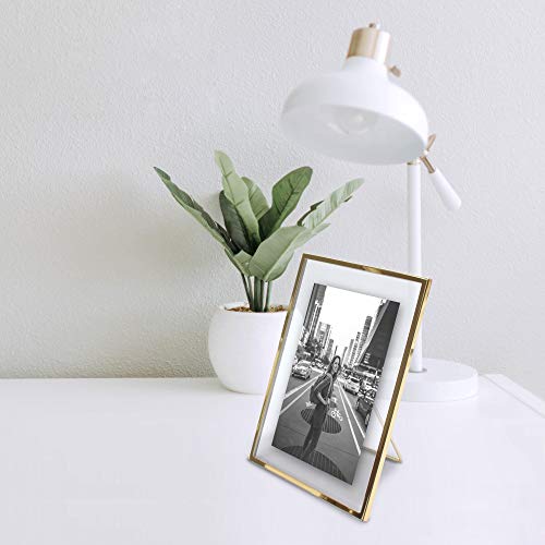 MIMOSA MOMENTS Gold Metal Floating Pressed Glass Picture Frame with