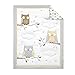 Cuddletime Starry Night Owls 6 Piece Bedding Collection, Gray
