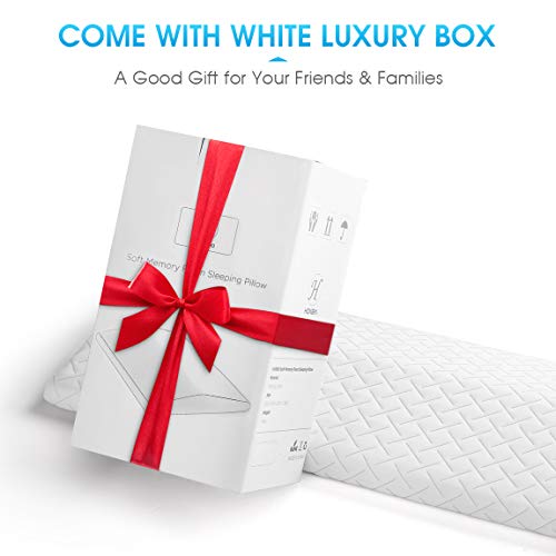 HOKEKI Lumbar Support Back Pillow for Sleeping, Memory Foam Back Pain