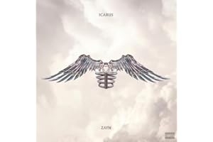 Icarus Falls