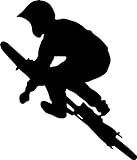 Wallmonkeys WM201005 Bmx-1 Peel and Stick Wall Decals (12 in H x 10 in W)