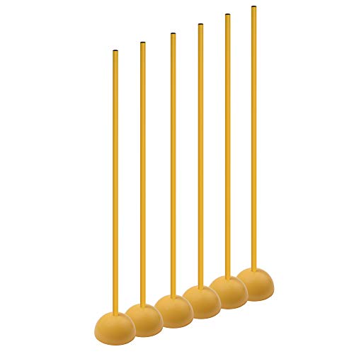 Champion Sports CK60 Coaching Sticks with Base