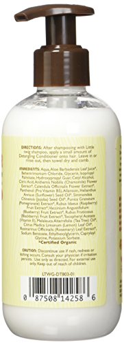 Little Twig All Natural Conditioning Detangler, Berry Pomegranate, 8.5 Fluid Oz