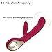 G Spot Rabbit Vibrator Clitoris Stimulation, EVERFUN Waterproof Dildo Vibrator Clit Stimulator with 10 Vibration Modes Quiet Dual Motor for Women Rechargeable ( Pink)