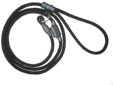 English leash Clearance