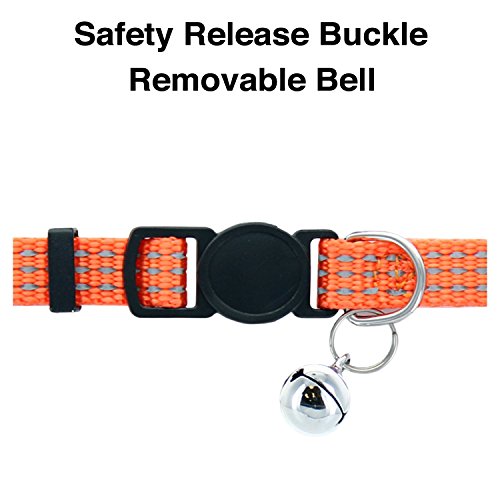 Pawtitas Reflective Cat Collar with Safety Buckle and Removable Bell Cat Collar Kitten Collar Orange Cat Collar