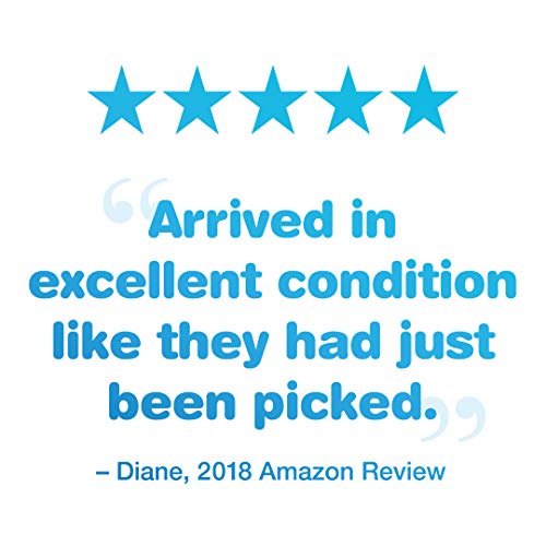 5 Wonderful+Halos+California+Grown+Mandarins+3lb