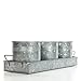 Hosley Set of 3 Galvanized Planter with Tray 5 Inch High. Ideal for Party Wedding Country Picnic Caddy Serve Ware Floral Pots Votive Candle Gardens O4
