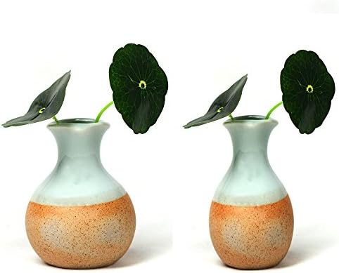 HJXL 2 Ceramic Vase Home Decoration Vase Ideal Gift For Wedding Hydroponic Plant Vase Flower Pots