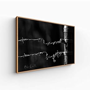 Canvas Wall Art for Living Room, Bedroom Monochrome Landscape Framed Canvas Prints for Home Decoration Ready to Hang - 16x24 inches