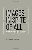 Images in Spite of All: Four Photographs from Auschwitz