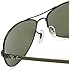 Ray-Ban RB8301 Aviator Sunglasses