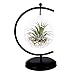 AUTOARK Glass Vase Plant Terrarium with Black Metal Stand,Ornament Display Stand,Office Desktop Potted Stand,Home & Office Decor Accent,1 Globe,APT-001