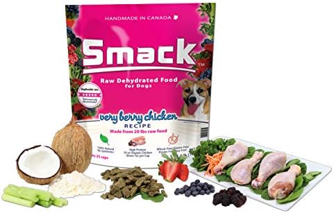 aluminum dog crate canada