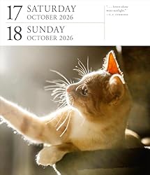 Cat Page-A-Day® Gallery Calendar 2026: A