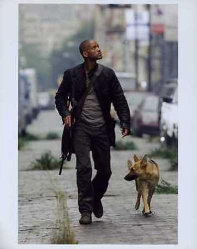 Will Smith I Am Legend 8x10 Photo J3494 At Amazon S