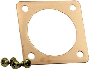 Amazon.com : Kettle Moraine Copper Portal for Eastern Bluebird Bird