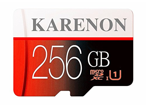 Karenon 256GB Micro SD SDXC Memory Card High Speed Class 10 with Micro SD Adapter(D49-KR256)
