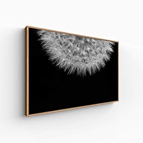 Canvas Wall Art for Living Room, Bedroom Monochrome Plants Framed Canvas Prints for Home Decoration Ready to Hang - 16x24 inches