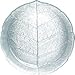 Arc International Aspen Set of 6 Tempered Glass 9.5 Inch Dinner Plates