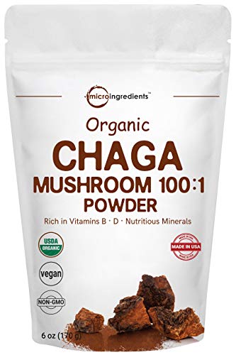 Sustainably Maine Grown, Wild Harvest Organic Chaga Mushroom Extract 100:1 Powder, 6 Ounce, Powerful Immune System and Energy Booster, Superfoods for Beverage and Smoothie, No GMOs and Vegan Friendly