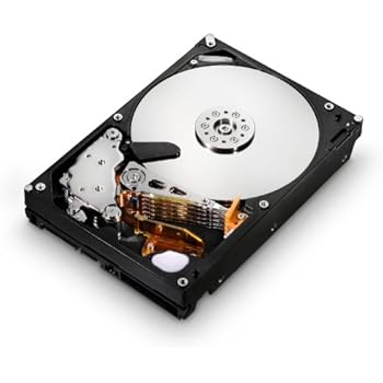 HGST Ultrastar 3.5-Inch 4TB 7200RPM SATA III 6Gbps 64MB Cache Enterprise Hard Drive with 24x7 Duty Cycle (0F14683)