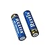 Rextin 18650 BRC Protected Rechargeable Lithium Battery (Pair) 3.7V 4200mAh+ Double 18650 Lithium Battery Charger