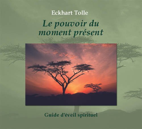 Le Pouvoir Du Moment Present The Power Of Now In French French Edition Eckhart Tolle 9782896678860 Amazon Com Books