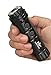 Capcom Zap Gun Stun Gun 800,000 volt, 30 lumen LED Flashlight , Black