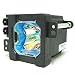 Electrified TS-CL110UAA-AFN Replacement Lamp with Housing for JVC Models HD52G657 primary