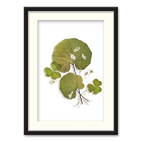 Black Paper Framed Canvas Wall Art for Living Room, Bedroom Simple Beautiful Leaves Canvas Prints for Home Decoration Ready to Hanging - 23x31 inches