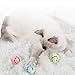 Vevins Cat Ball Toys, Flash Light Ball Catnip Ball Bell Ball Interactive Kitten Toys