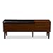 BAXTON STUDIO Merrick Mid-Century Retro Modern 1 Drawer and Wood Cushioned Bench Shoe Rack Cabinet Organizer, Dark Brown