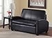 Sofa Sleeper Convertible Couch Loveseat Chair Recliner Futon Black Twin Bed Guest