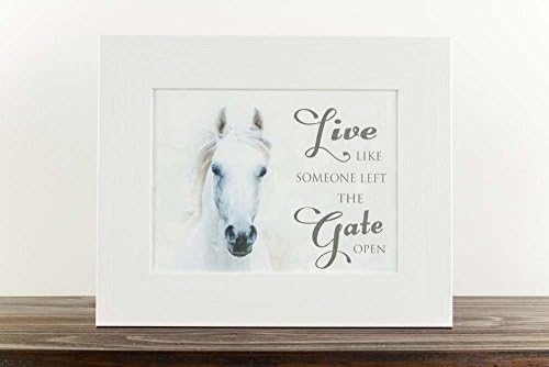 Summer Snow Live Like Someone Left The Gate Open Western Horse White Restored Framed Art (White Frame)