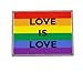 Forge Love is Love Gay Pride Rainbow Flag Lapel Pin(1 Pack)