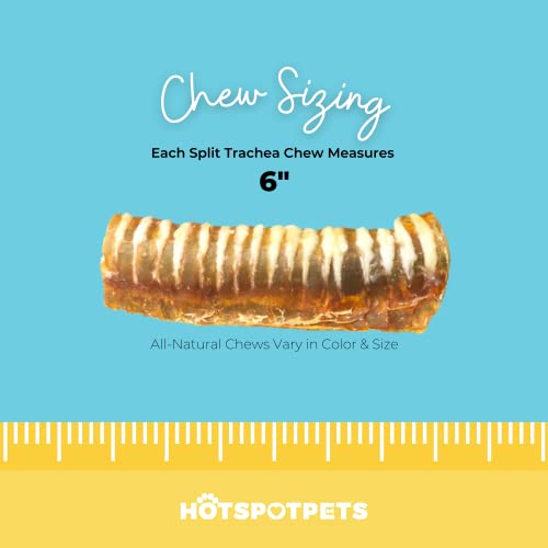 hotspot pets Premium Beef Trachea for Dogs 6" Strips Split All