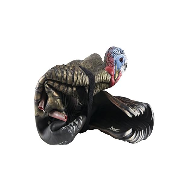 AvianX LCD 1/2 Strut Jake Turkey Decoy Crossbow Supplies